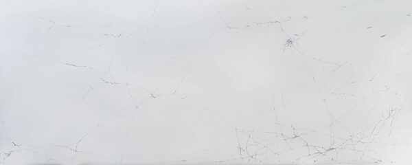 Cobweb