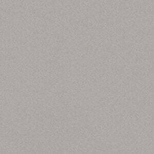 Gris Ceniza
