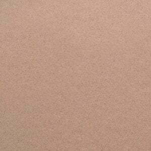Noisette Grain 2.0