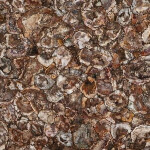 Petrified Wood