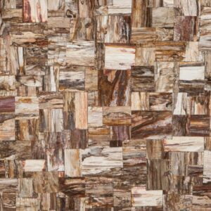 Retro Petrified Wood